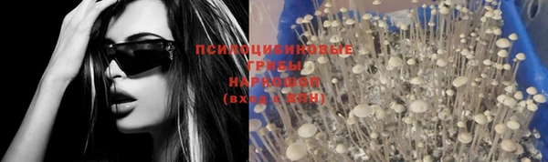 ПСИЛОЦИБИНОВЫЕ ГРИБЫ Богородицк