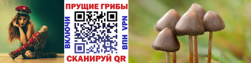 Галлюциногенные грибы ЛСД  Болохово 